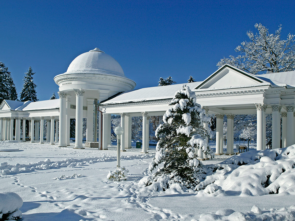 marienbad-grandhotel-pacifik-21_marianske-lazne_17253225572_o-481.jpg