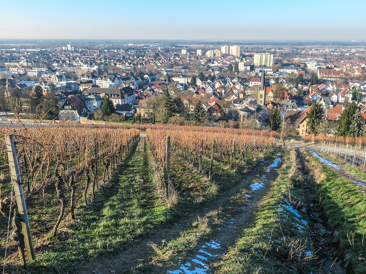 bad-duerkheim-silvsester-glaenzende-tage-an-der-deutschen-weinstrasse-mit-herrlichen-ausfluegen-nach-heidelberg-und-rundfahrt-durch-den-pfaelzer-wald-bergsstrasse-bei-bensheim-134207014.jpg