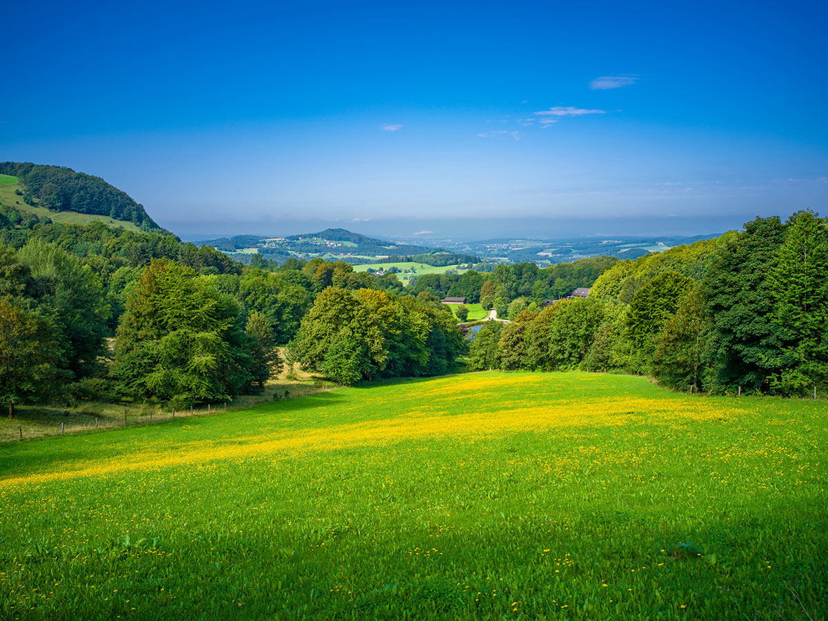 bad-kissingen-gesundheit-erholung-und-entspannung-im-unesco-weltkulturerbe-wasserkuppe-naturpark-in-der-rhoen-637804210.jpg