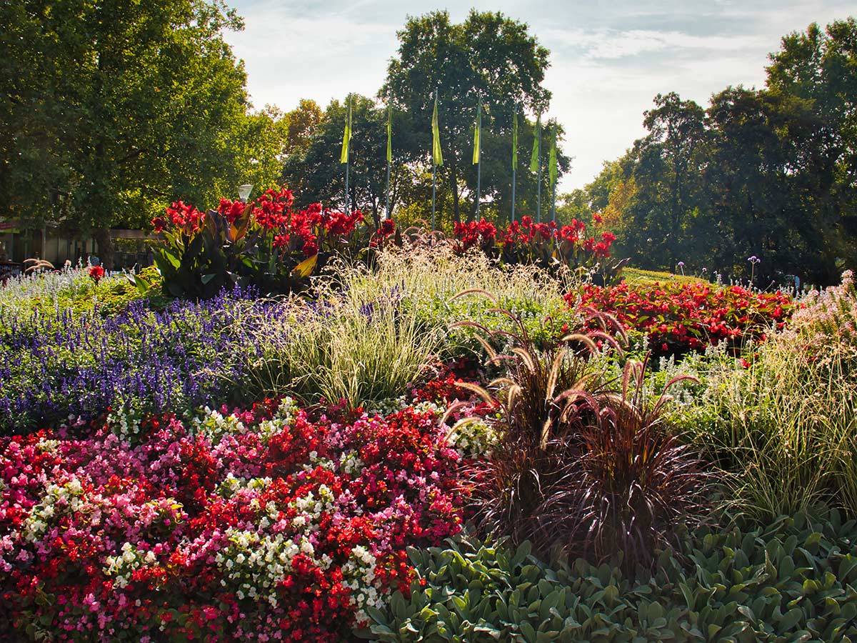 mannheim-einzigartige-bluetenpracht-auf-der-bundesgartenschau-2023-mit-besuch-des-barockschlosses-lusinepark-402788310.jpg