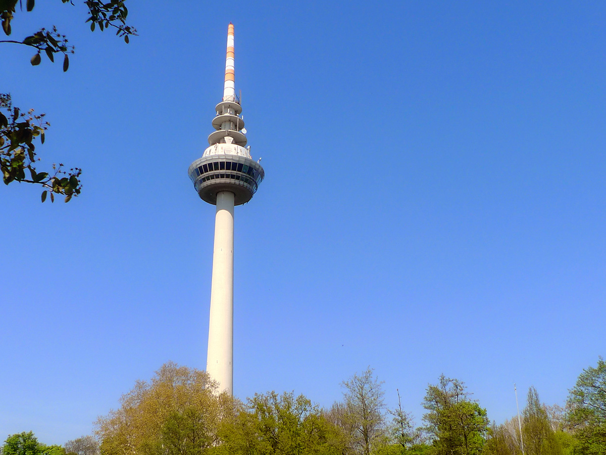 mannheim-einzigartige-bluetenpracht-auf-der-bundesgartenschau-2023-mit-besuch-des-barockschlosses-turm-6-24572280.jpg