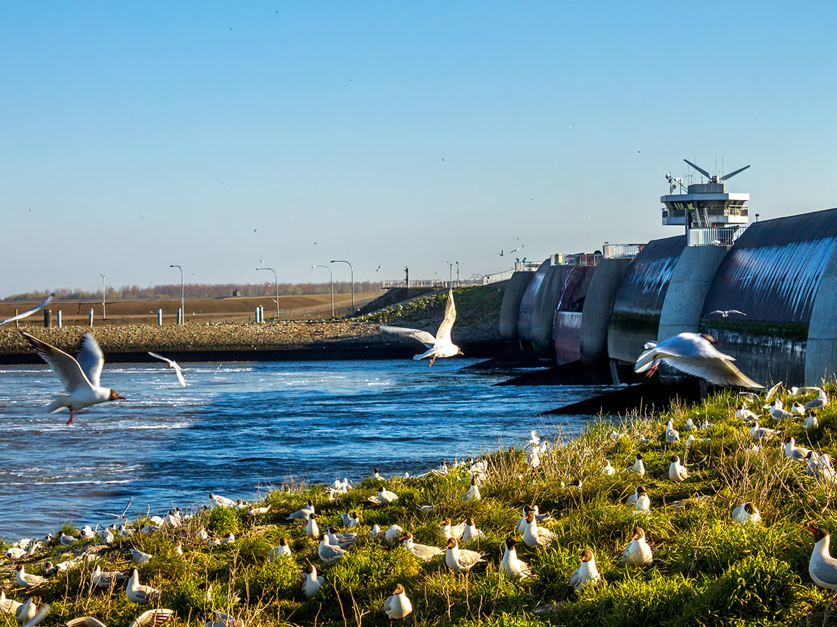 nordseeheilbad-buesum-mit-ausfluegen-nach-husum-und-friedrichstadt-eidersperrwerk-wesselburenerkoog-157747086.jpg