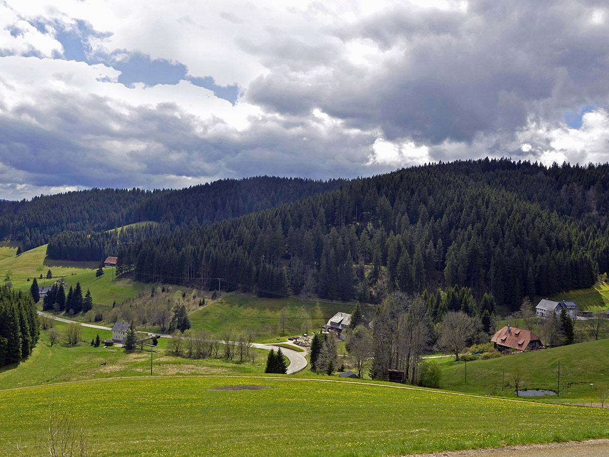 oberhamersbach-schwarzwald-hochstrasse-158202777.jpg