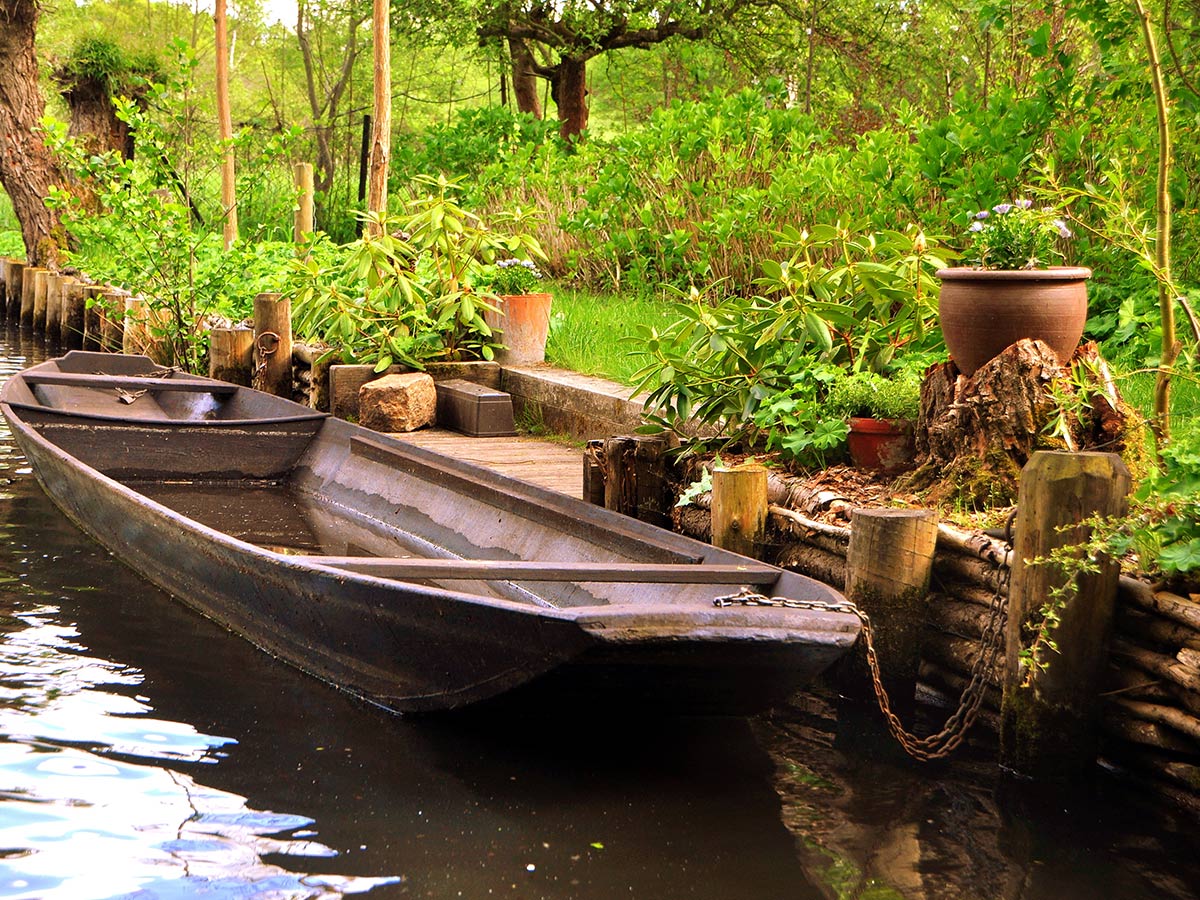 romantischer-spreewald-mit-idyllischer-kahnfahrt-ausflug-nach-cottbus-unterwegs-auf-den-kanaelen-des-spreewaldes-107845042.jpg