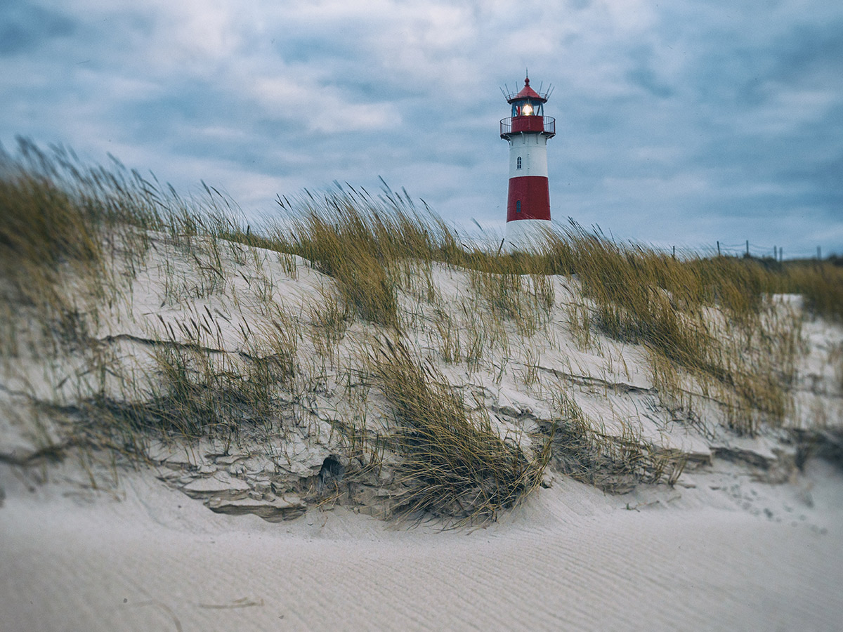 sylt-erleben-sie-die-magie-der-koenigin-der-nordsee-sylt-405802961.jpg