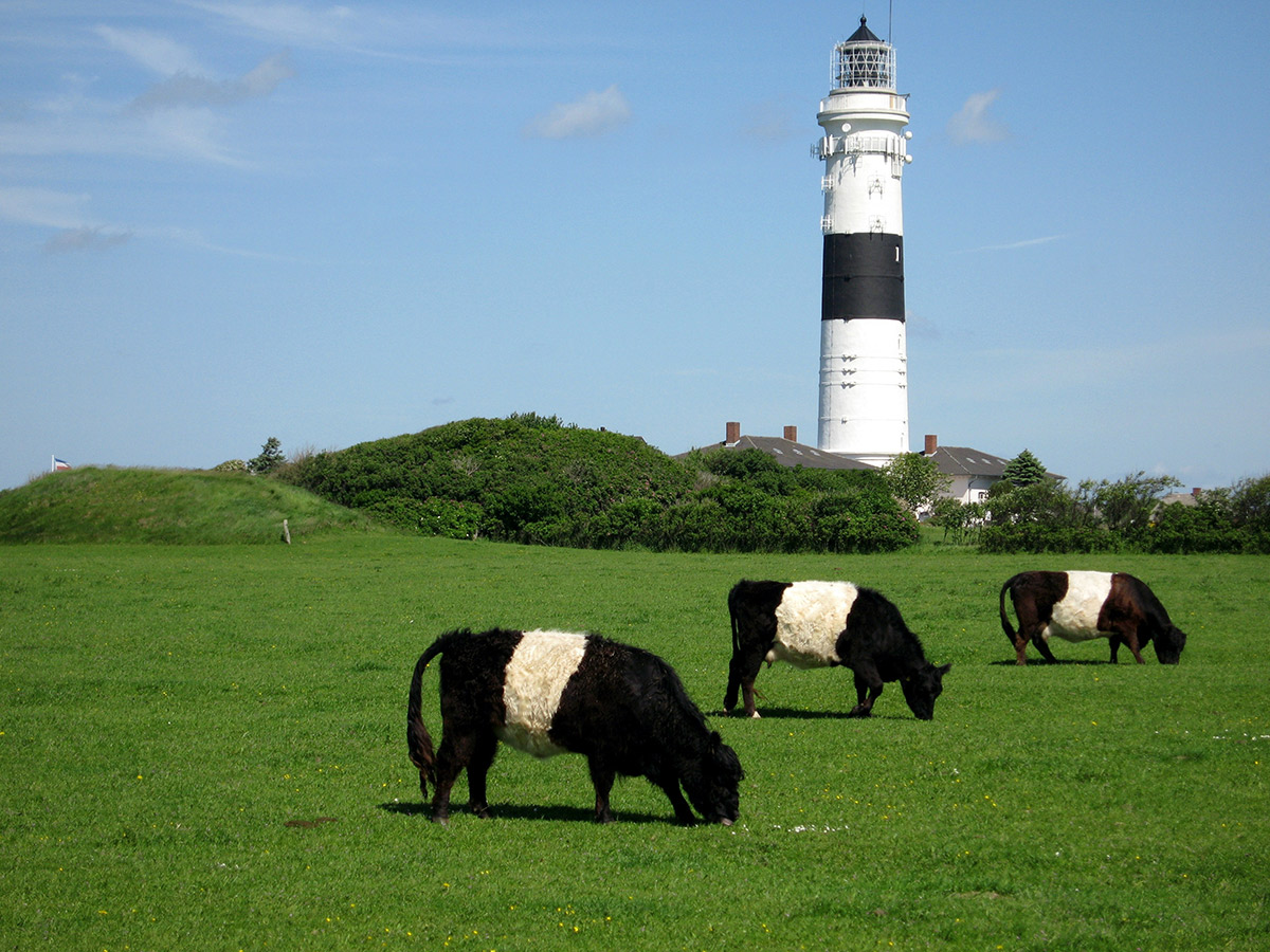 trauminsel-sylt-koenigin-der-nordsee-sylter-sommer-3955516.jpg