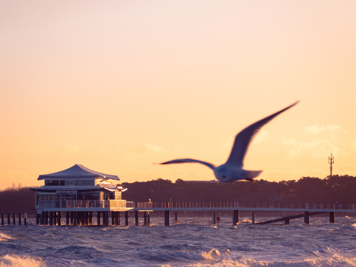 timmendorfer-strand-weihnachtlicher-ostseezauber-teehaus-am-timmendorfer-strand-346960052.jpg