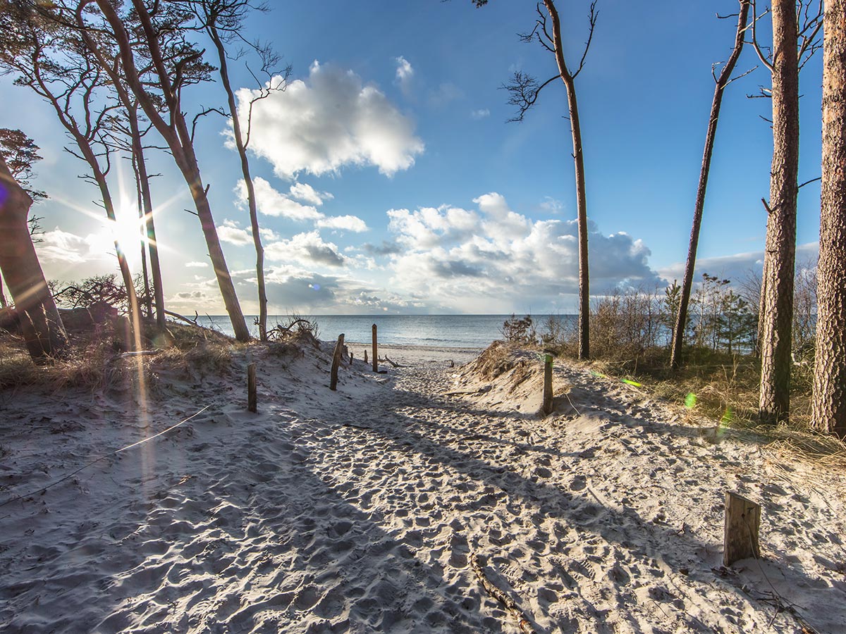 travemuende-weihnachtszauber-an-der-ostsee-am-meer-193774229.jpg