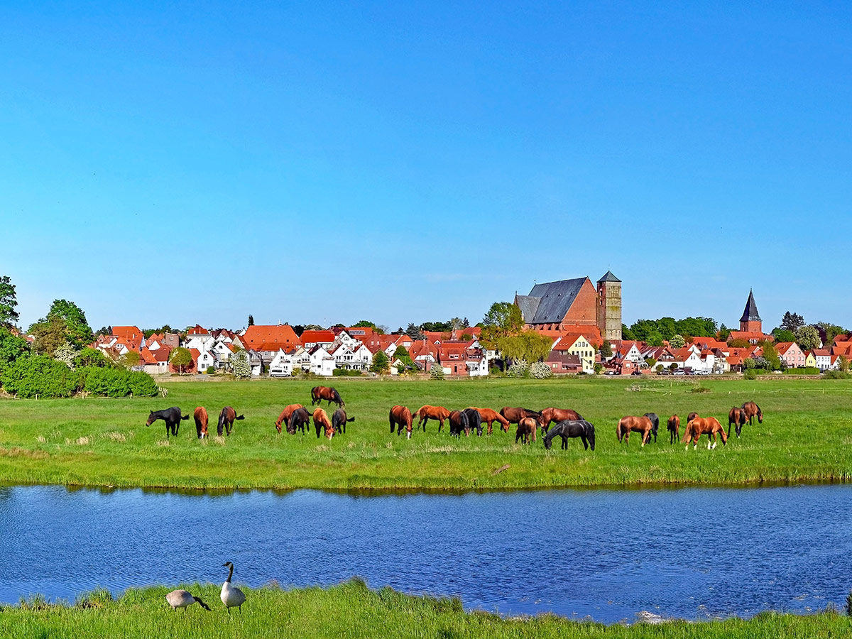 Verden an der Aller - Busreise ab 23.07.2020 | Felix Reisen ☀