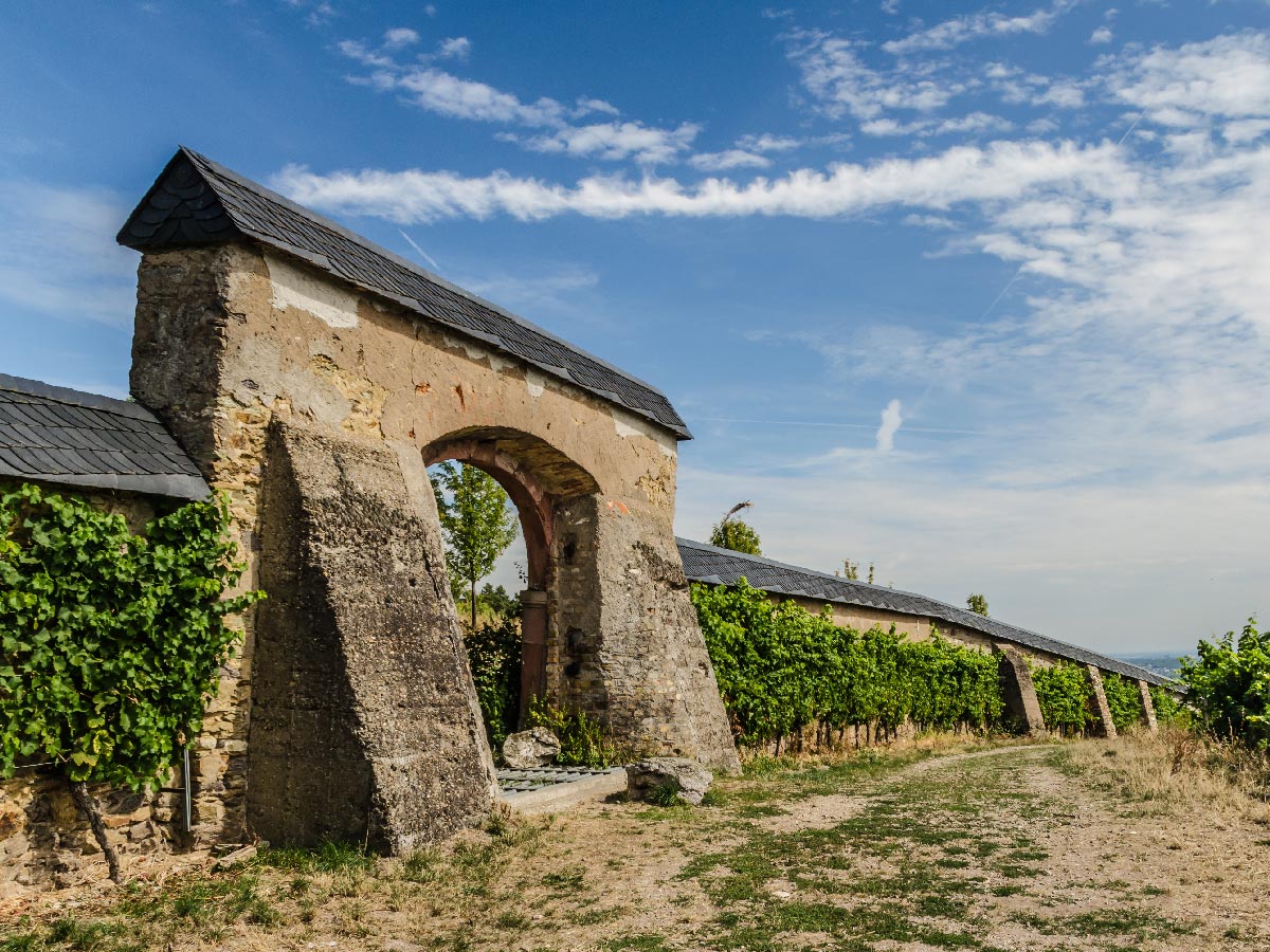 wiesbaden-adventszauber-in-der-weltkurstadt-domaene-steinberg-bei-kloster-eberbach-222362756.jpg