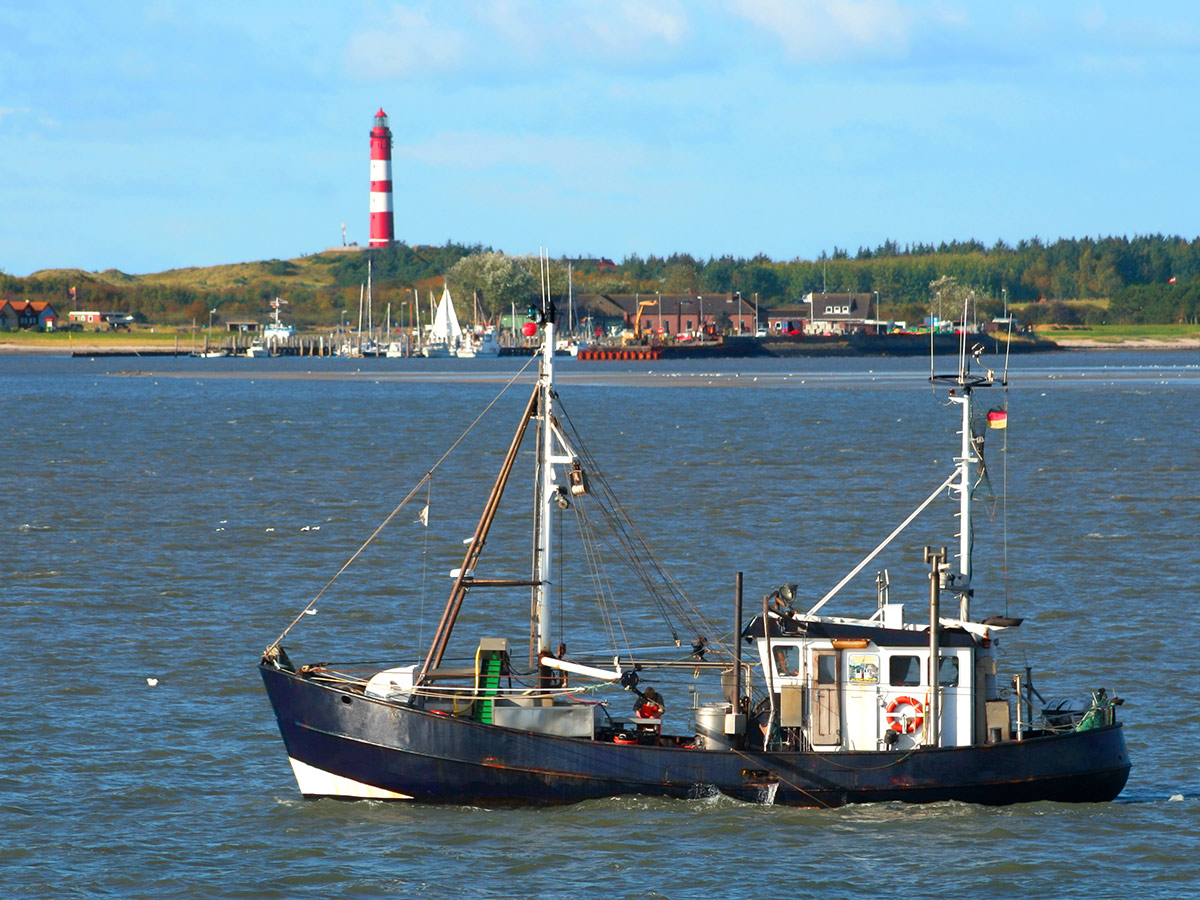 wyk-auf-foehr-fischkutter-vor-amrum-mit-leuchtturm-83991625.jpg