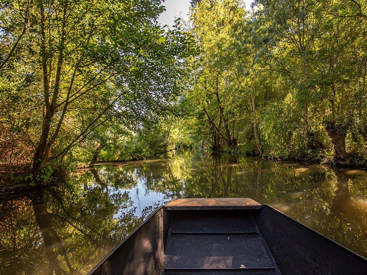 bordeaux-und-die-ile-de-re-entdecken-sie-die-traumhafte-franzoesische-atlantikkueste-marais-poitevin-539939923.jpg