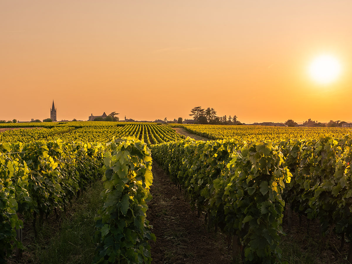 bordeaux-und-die-ile-de-re-entdecken-sie-die-traumhafte-franzoesische-atlantikkueste-saint-emilion-615401608.jpg