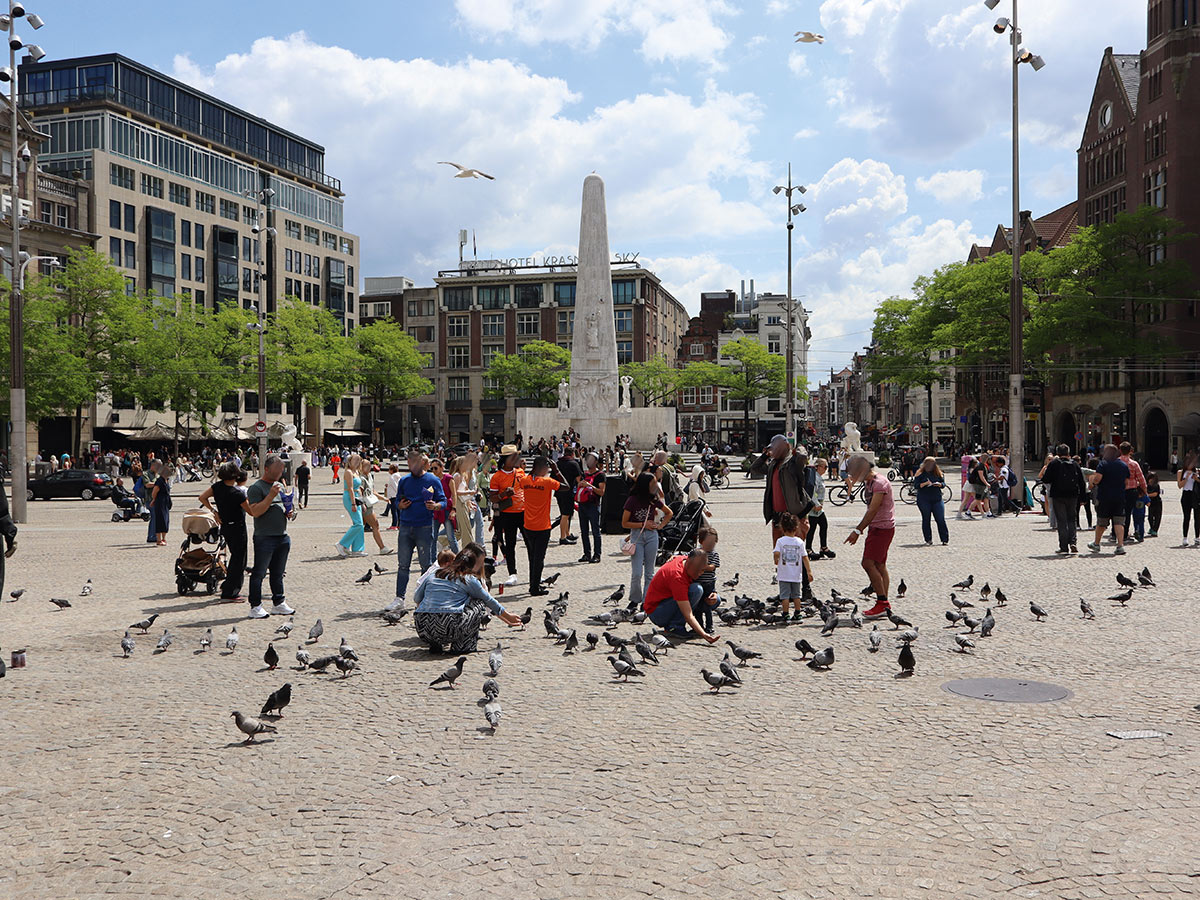 amsterdam-h-art-museum-rembrandthaus-rijksmuseum-und-van-gogh-museum-img-0695.jpg