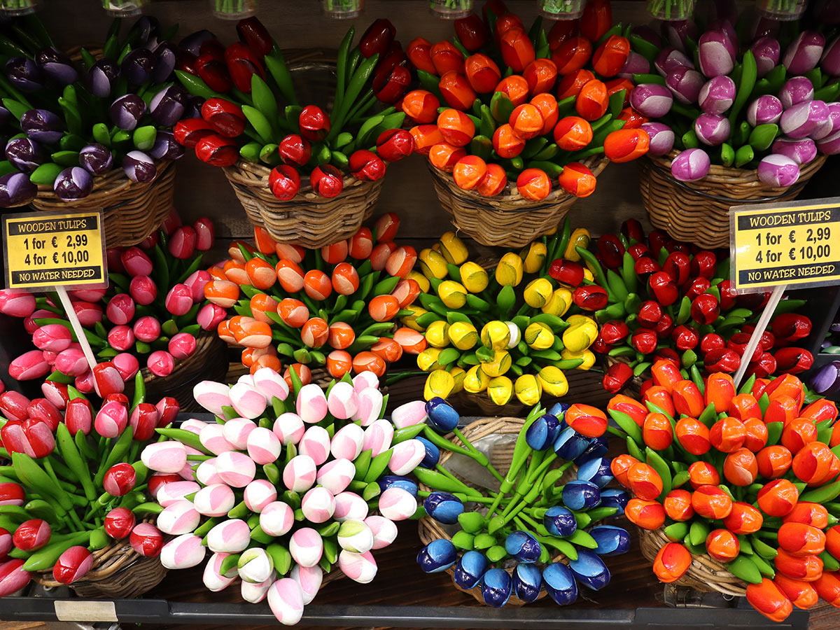 amsterdam-im-glanze-rembrandts-hart-museum-rembrandthaus-rijksmuseum-und-van-gogh-museum-tulpenstand-img-0690.jpg