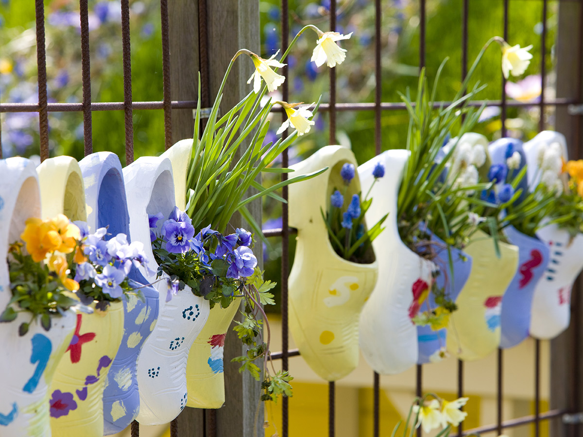 egmond-aan-zee-besuch-keukenhof-clogs-keukenhof-gardens-lisse-24052462.jpg