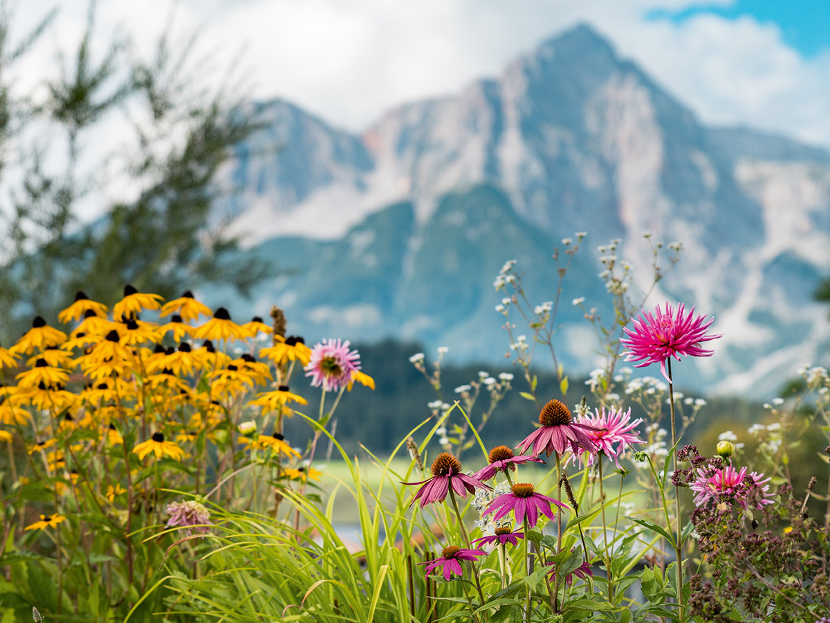 maria-alm-salzburger-land-perfekte-mischung-maria-alm-526172740.jpg