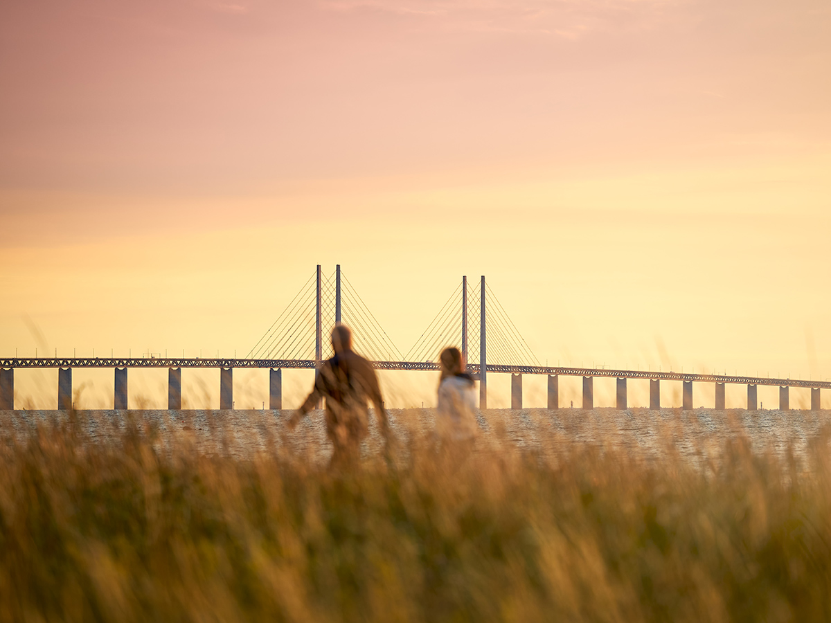 schweden-lund-skane-mittsommerzauber-in-suedschweden-oeresund-bruecke-470020691.jpg