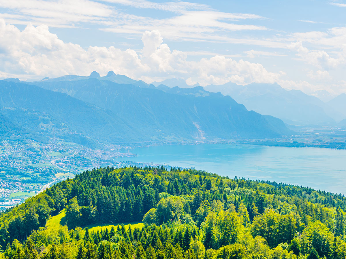 montreux-palmen-am-genfer-see-und-panoramafahrt-mit-der-goldenpass-line-genfer-see-234827844.jpg