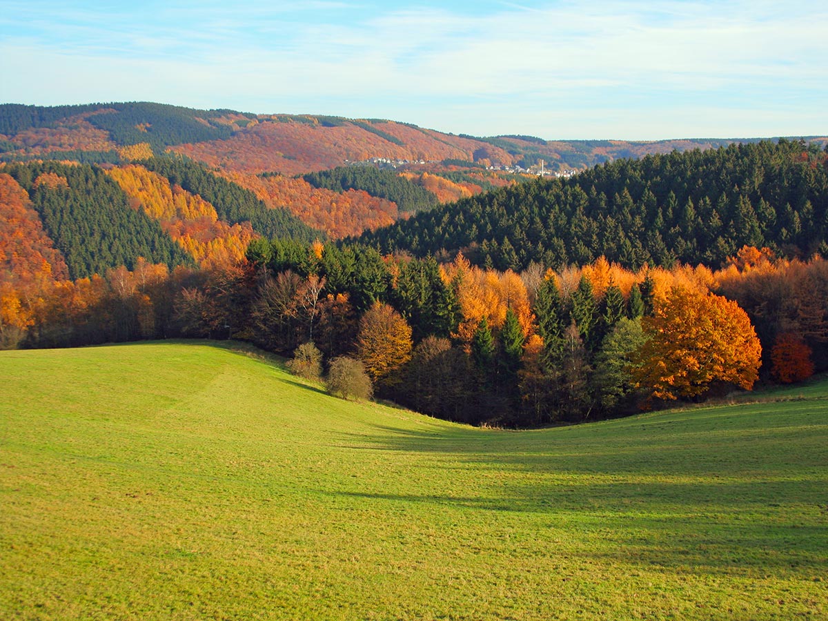 lippstadt-und-kunstmuseum-muelheim-an-der-ruhr-das-venedig-westfalens-herbst-im-sauerland-157020399.jpg